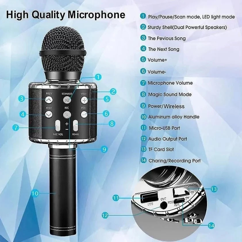 Best Microphone Wireless Mic 