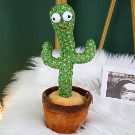 Cactus Toy alionlinestore.pk
