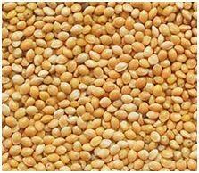 Yellow Millet  (1 kg) alionlinestore.pk